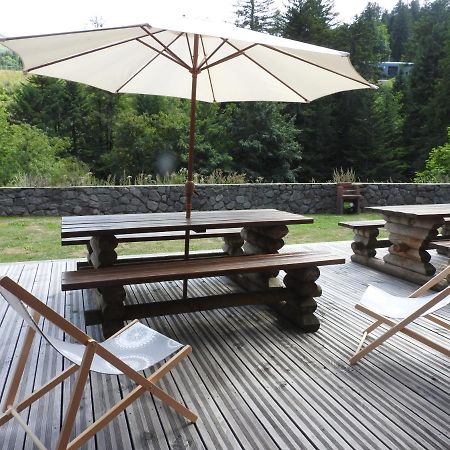 Le Lioran Studio Les Myrtilles A 200M Des Pistes 外观 照片