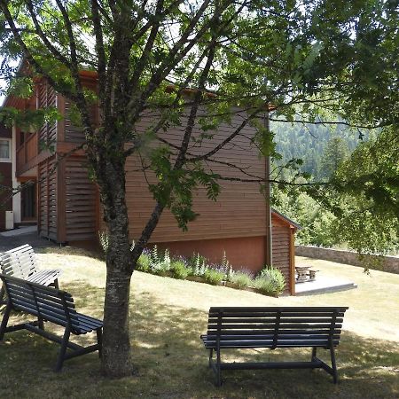 Le Lioran Studio Les Myrtilles A 200M Des Pistes 外观 照片