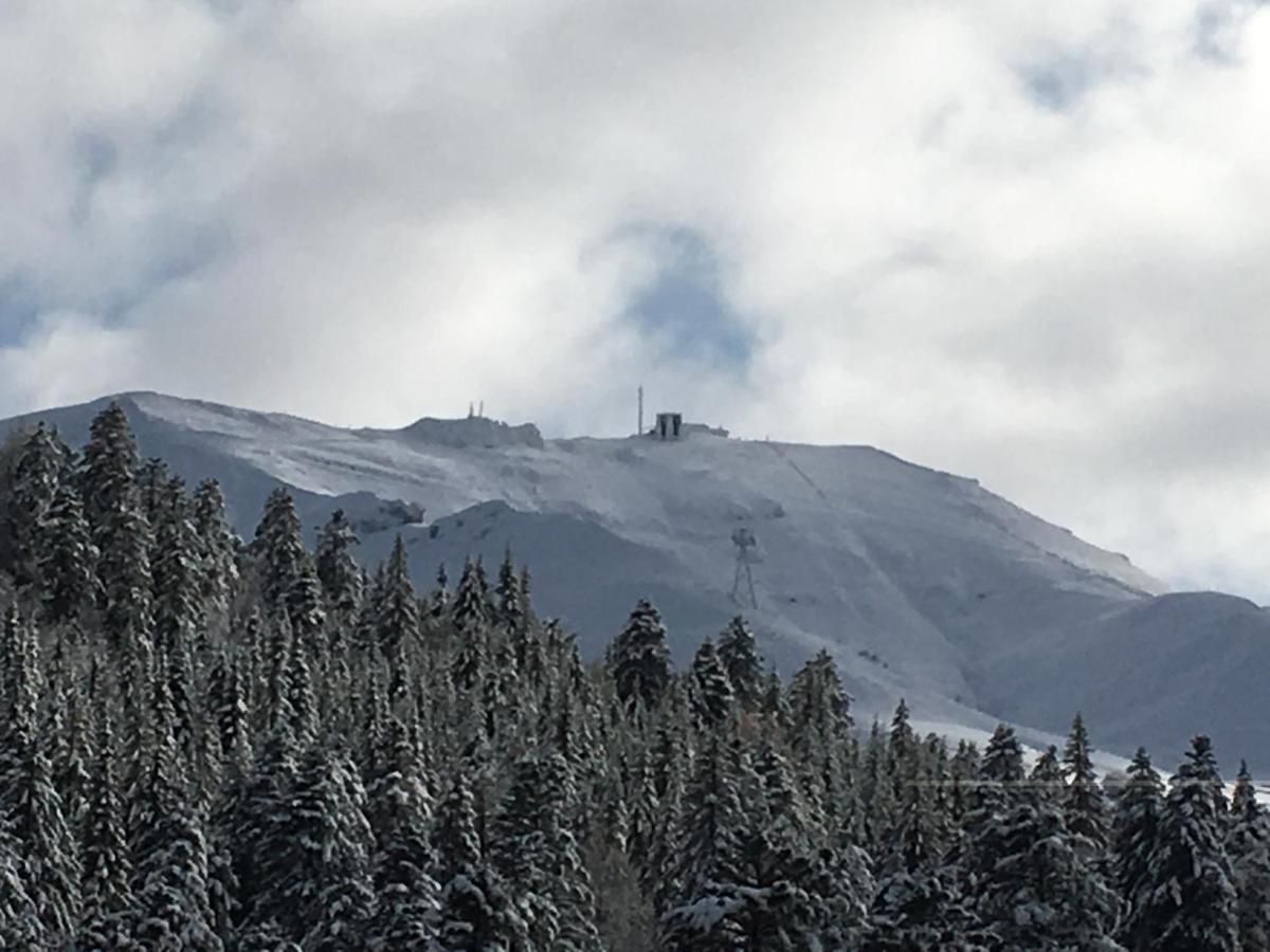 Le Lioran Studio Les Myrtilles A 200M Des Pistes 外观 照片