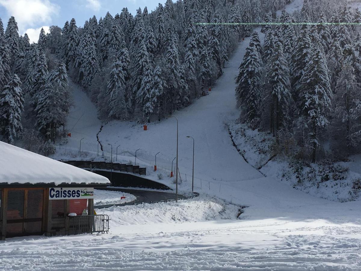 Le Lioran Studio Les Myrtilles A 200M Des Pistes 外观 照片