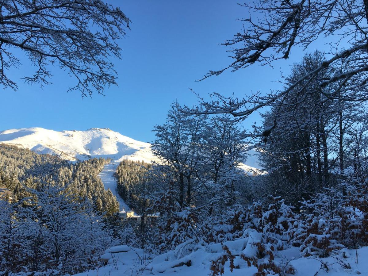 Le Lioran Studio Les Myrtilles A 200M Des Pistes 外观 照片