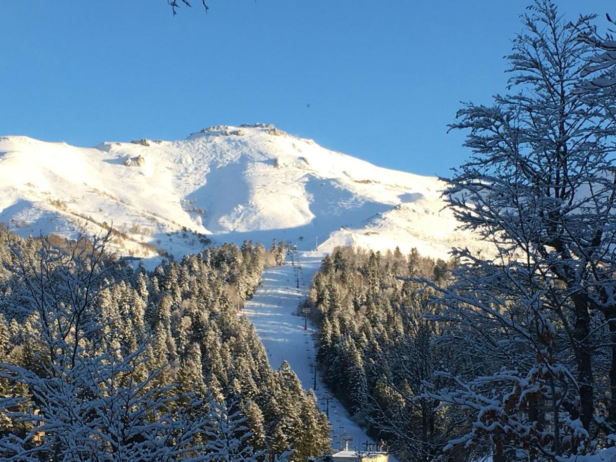 Le Lioran Studio Les Myrtilles A 200M Des Pistes 外观 照片