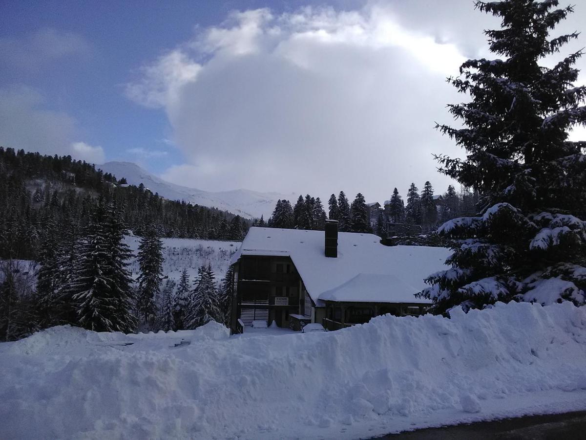 Le Lioran Studio Les Myrtilles A 200M Des Pistes 外观 照片