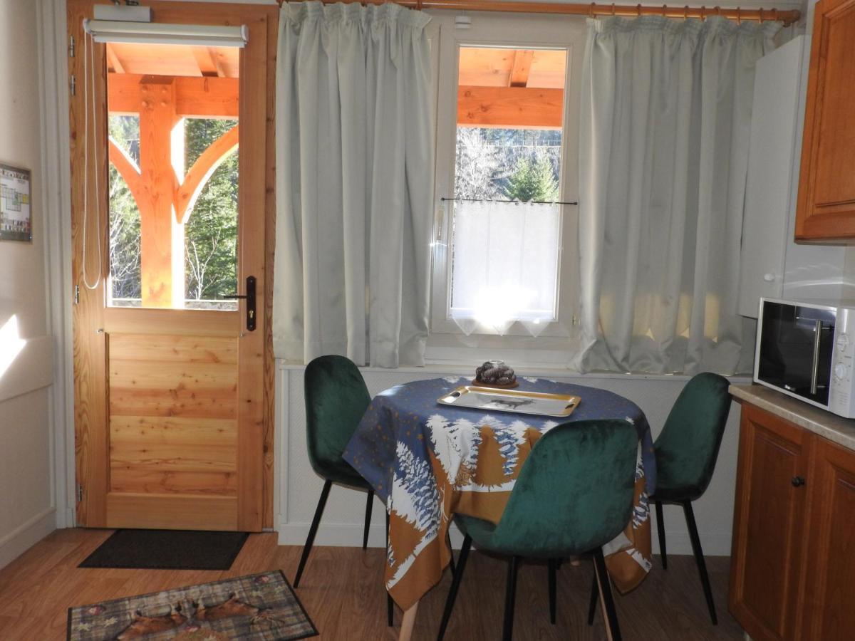 Le Lioran Studio Les Myrtilles A 200M Des Pistes 外观 照片