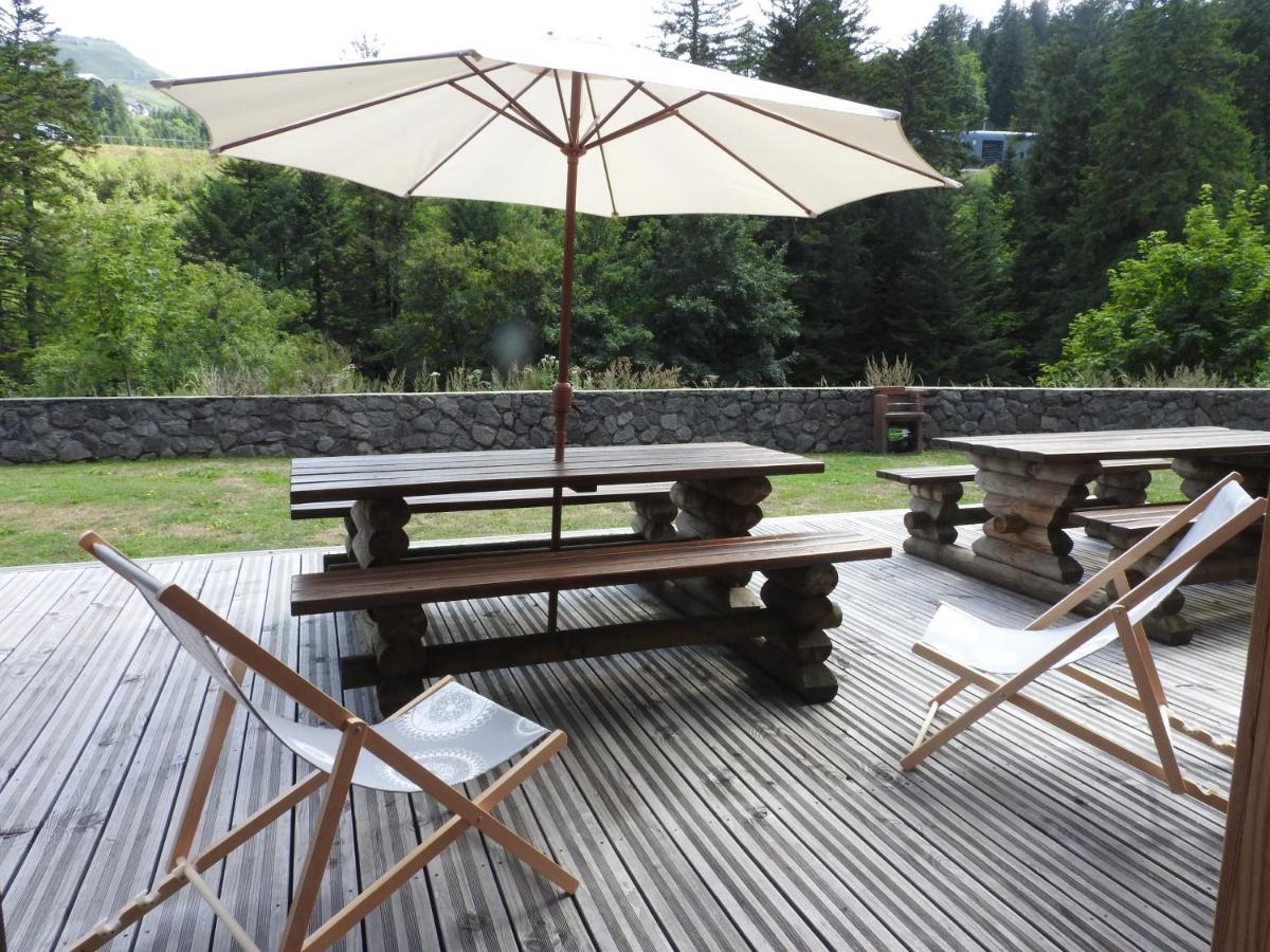 Le Lioran Studio Les Myrtilles A 200M Des Pistes 外观 照片