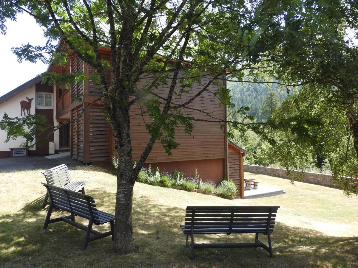 Le Lioran Studio Les Myrtilles A 200M Des Pistes 外观 照片