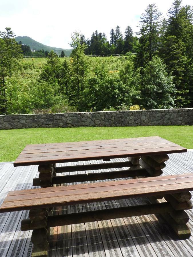 Le Lioran Studio Les Myrtilles A 200M Des Pistes 外观 照片